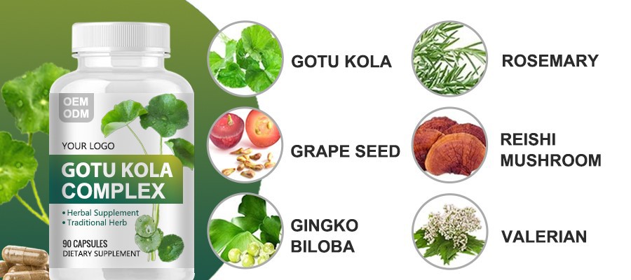 complex gotu kola supplement complex gotu kola supplement